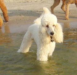 Lubmin 028